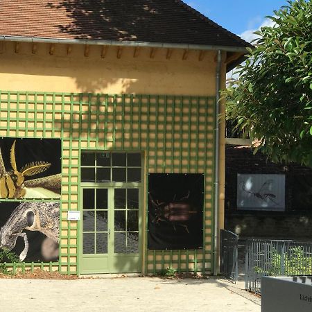 Charmante Maison Bourguignonne Avec Grand Jardin Et Parking Montbard Eksteriør bilde