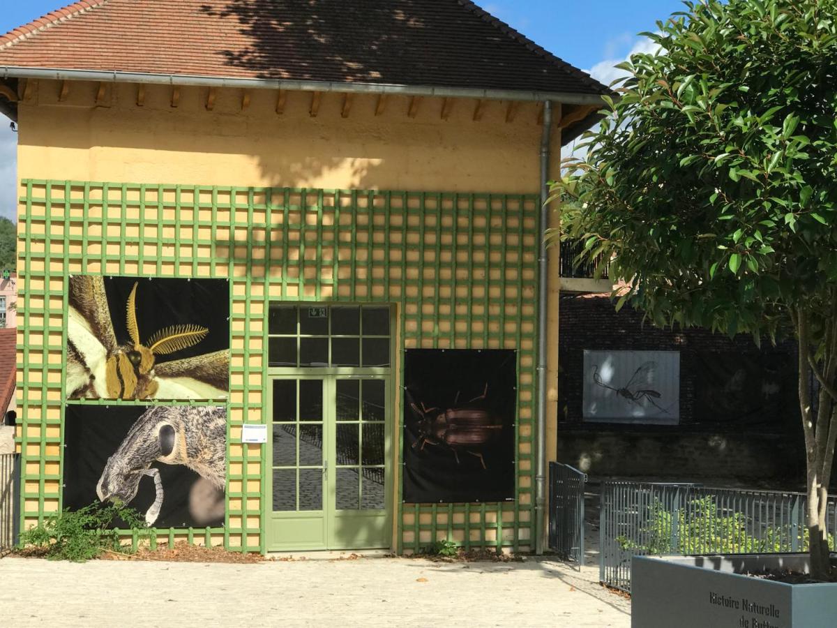 Charmante Maison Bourguignonne Avec Grand Jardin Et Parking Montbard Eksteriør bilde
